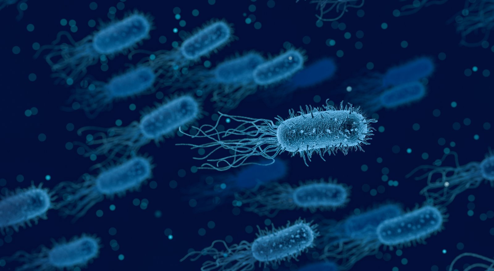 La bactérie, symbole des maladies sexuellement transmissibles